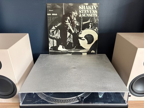 Shakin stevens and the - shakin',