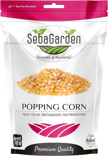 Popping corn kernels gmo - corn,