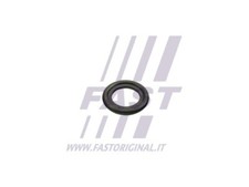 FT49860 FAST Seal Ring, oil