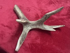 ONE PIECE OF DEER ANTLER