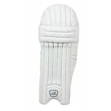 Woodworm Cricket iBat Select