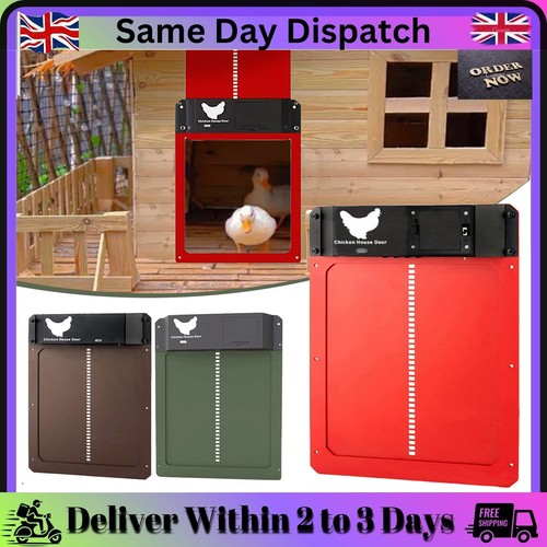 Automatic chicken coop door - chicken,