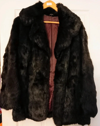 Vintage black persian - vintage,