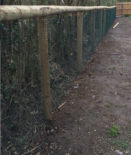 Pvc welded fence mesh - mesh, x