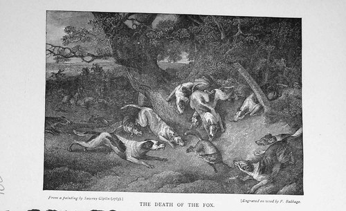Original old antique print fox - print,