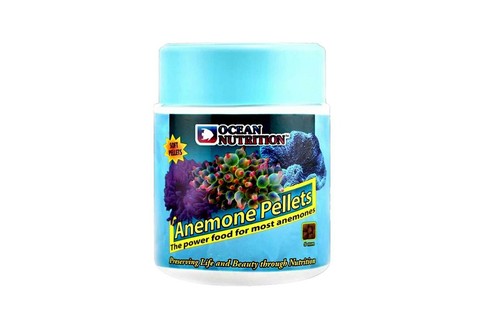 Ocean nutrition reef anemone - ocean,