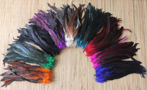 Long rooster tail feathers - tail, fly