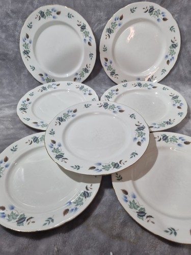 Colclough dinner plates - colclough,
