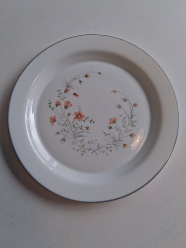 Vintage pyrex glass - x, dinner