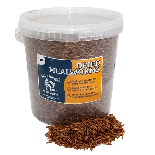 Walters dried mealworms wild - dried, |