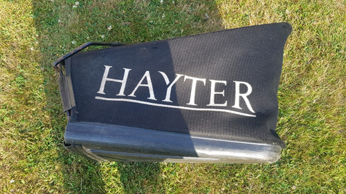 Early hayter harrier - harrier, 41
