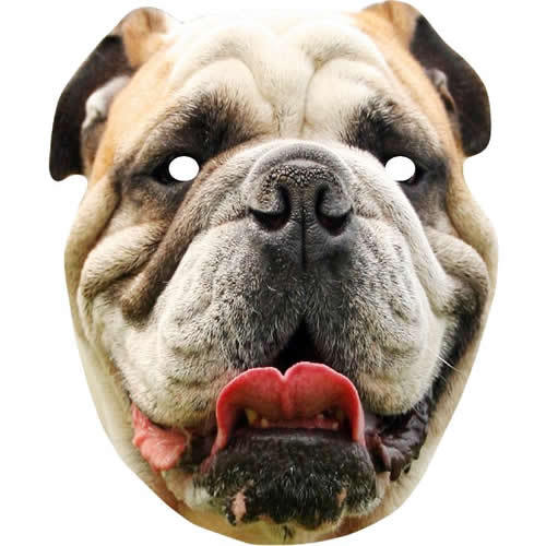 British bulldog animal - british,
