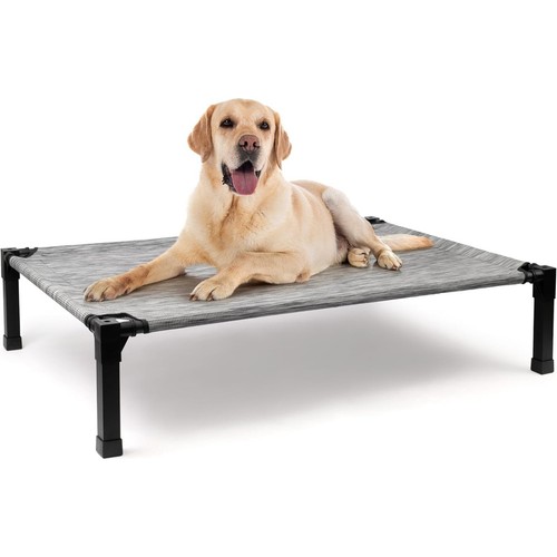 Elevated dog bed - dog, medium