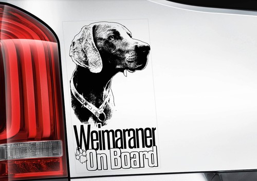 Weimaraner dog car window - -,