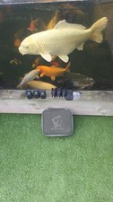 3x NASH S5R BITE ALARMS WITH RECIVER & CASE CARP FISHING GEAR TACKLE 
