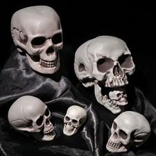 Supplies Home Decor Skull Head