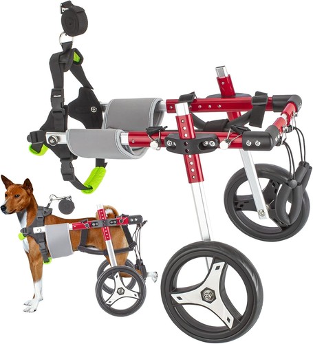 Dog wheelchair medium pet - dog,