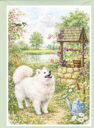 Samoyed dog blank - dog, (4"x