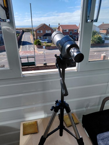 Kenko pro field spotting - 63,