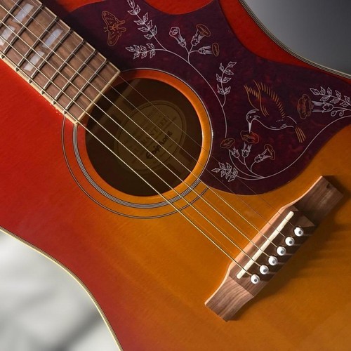 Epiphone hummingbird pro - hummingbird,
