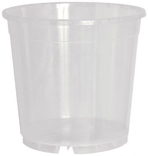 Geli thermo plastic orchid pot - plastic,