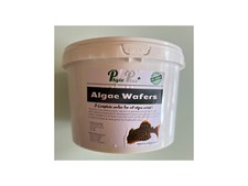 Algae Wafers Medium ALL BOTTOM