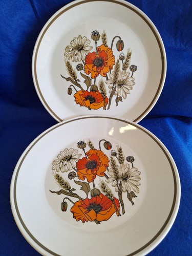 Vintage meakin poppy dinner - meakin,
