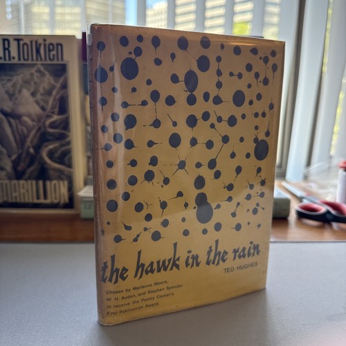The hawk - hawk,