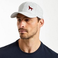 Irish Red Setter Owner