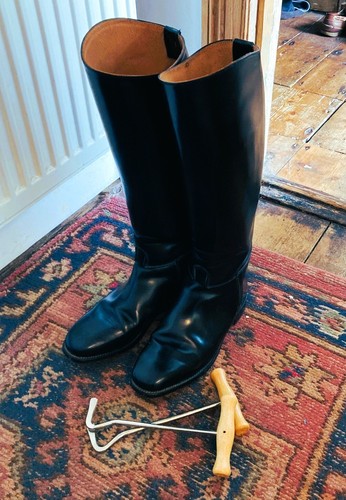 English regent leather riding - english,