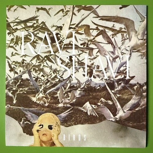 Ravi shavi birds - ‎–, 7"
