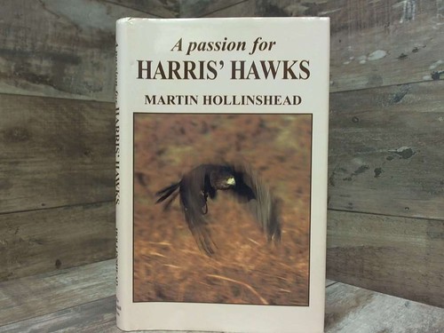 Passion for harris hawks - passion,
