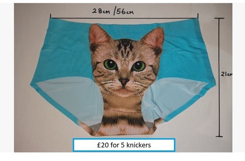 Ladies pussy cat - 5, knickers