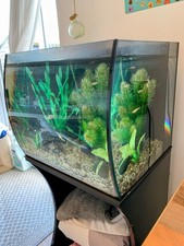 Fluval Flex 57L Aquarium, Tank