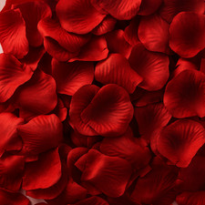 100-1000 Deep Red Rose Petals