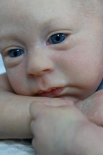 Stunning reborn ~ Nikolas