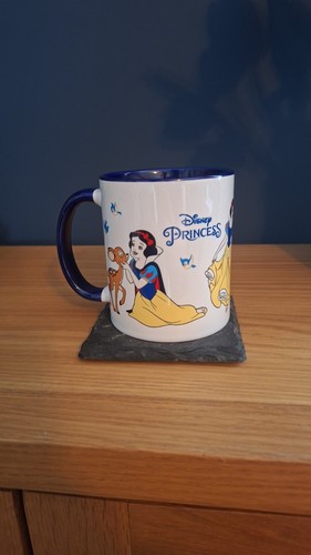 Walt disney princess - disney,