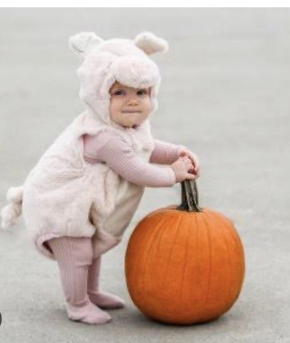 Pottery barn kids baby - kids, piglet