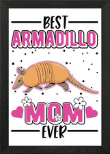 Armadillo Gift Framed Wall Art