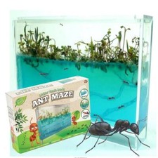 Make / Grow Your Own Ant Farm