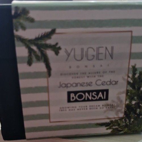 Yugen bonsai seeds growing kit - bonsai,