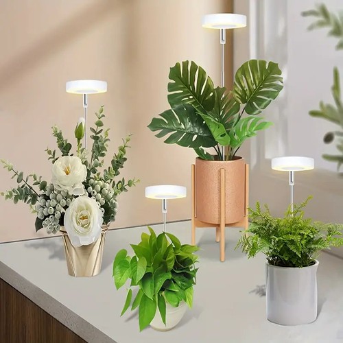 Led grow light - light, spectrum