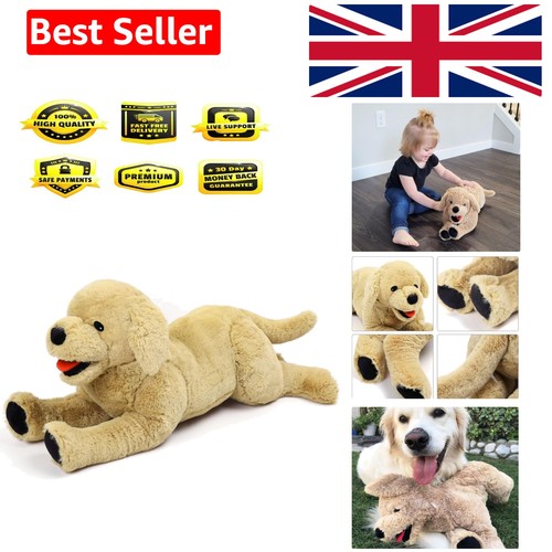 Golden retriever teddy - golden,