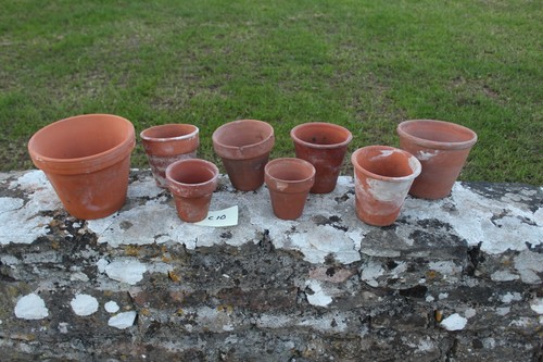 Vintage terracotta pots - terracotta,
