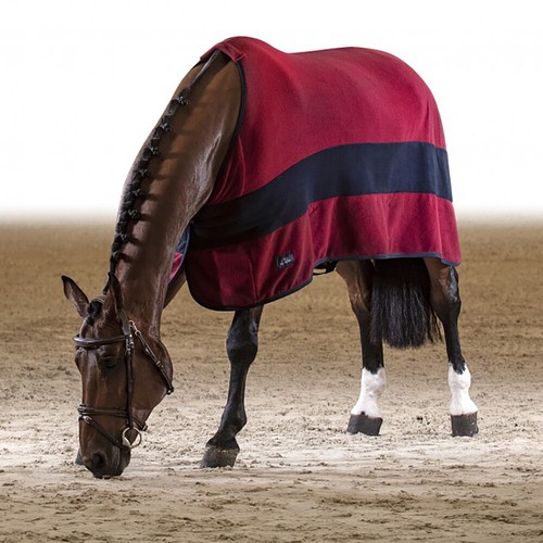 Equiline steve fleece rug - fleece,