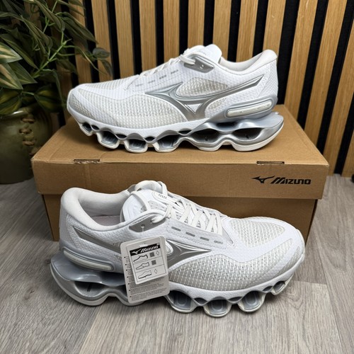 Mizuno wave prophecy - prophecy, 15
