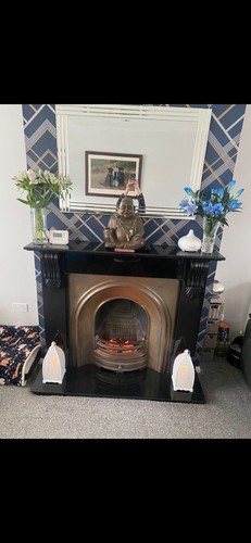 Cast iron fire insert with - cast,