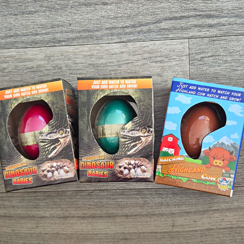 Henbrandt hatching grow egg - hatching, &