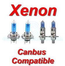 H4 & H1 Canbus Compatible