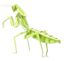 3D paper puzzle Craft Kit  Praying Mantis
